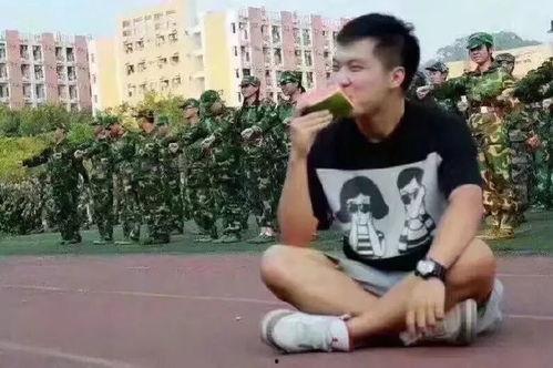 贺树峰吃瓜群众,吃瓜群众的视角，揭秘娱乐圈风云