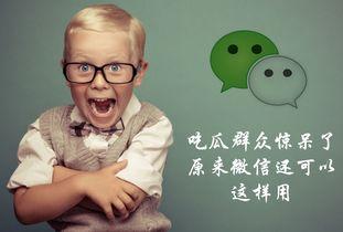 吃瓜群众微信收费,揭秘社交新趋势背后的真相