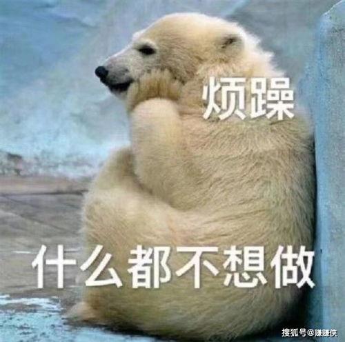 吃瓜群众躁起来图片,全民围观热潮背后的故事