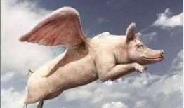 吃瓜群众猪的头像是谁的,揭秘“吃瓜群众猪”的神秘原型