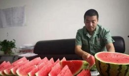 寻找快乐吃瓜群众,揭秘“吃瓜群众”的快乐生活