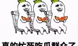 吃瓜群众壁纸图,揭秘网络热议背后的趣味与真相