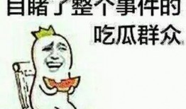 吃瓜群众应该做什么,如何正确参与网络舆论场