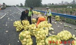 赣榆吃瓜群众注意事项,注意事项全解析