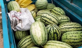 吃瓜群众偷钱被抓,揭秘偷窃背后的真相