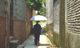 上海吃瓜群众故事,吃瓜群众的欢乐时光