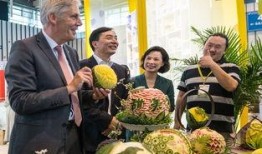 吃瓜群众热情网友,揭秘网络热议背后的故事