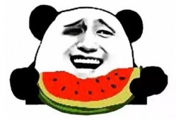 动物园的吃瓜群众,揭秘动物们的“八卦”生活