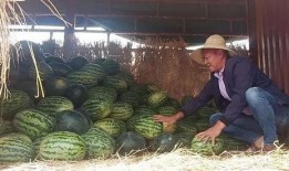 三原色事件吃瓜群众岱岱,揭秘岱岱眼中的吃瓜群众众生相