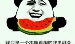 吃瓜群众中文翻译,揭秘“吃瓜群众”背后的网络文化现象