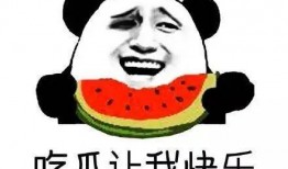 一个认真吃瓜的群众,一位吃瓜群众的深度观察与思考