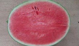 吃瓜群众在干什么,他们都在关注什么？