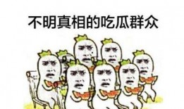 吃瓜群众视角小说,揭秘娱乐圈背后的那些事儿