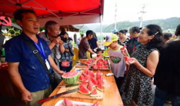 舔屏吃瓜群众,揭秘吃瓜群众的狂欢世界