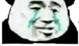 吃瓜群众熊猫头像表情包,萌态可掬，笑点满满