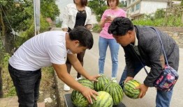 吃瓜群众干旱,干旱来袭，农业面临严峻挑战