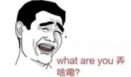 吃瓜群众眼中的中国,多元风貌与时代变迁