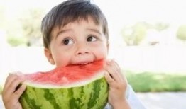 吃瓜群众的4种瓜子