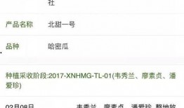 三冰吃瓜群众词条,揭秘网络热点的幕后故事