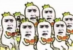 吃瓜群众师太收礼物,一场意外的惊喜盛宴