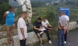 吃瓜群众被拘留15天,网络围观背后的法律思考