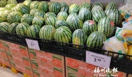 吃瓜群众摆台视频大全,一场视觉盛宴的狂欢