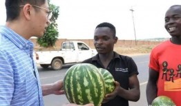 吃瓜群众看美国,揭秘真实美利坚