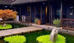 四合院吃瓜群众何雨水