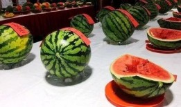 吃瓜群众梁梁,揭秘娱乐圈幕后故事