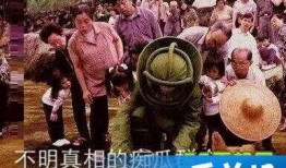 真实演绎什么是吃瓜群众,网络时代的围观者众生相