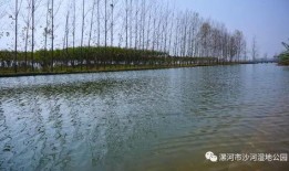 吃瓜群众沙河湿地公园,市民休闲新乐园，生态美景尽收眼底