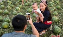 吃瓜群众校园,吃瓜群众视角下的校园生活点滴