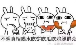 吃瓜群众应该怎么回复,轻松应对网络热议