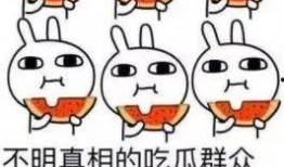 表白的吃瓜群众,揭秘表白背后的甜蜜与酸涩