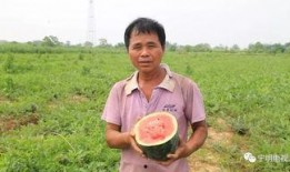 只做观众吃瓜群众的人