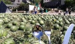 吃瓜群众校园,吃瓜群众视角下的校园生活点滴