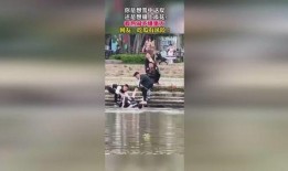 吃瓜群众字幕视频,揭秘热门事件幕后真相