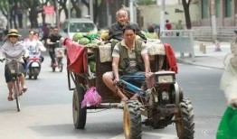 摆摊吃瓜的群众,摆摊吃瓜群众的夏日狂欢