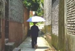 做吃瓜群众的事例分析,揭秘网络围观背后的心理与社会效应