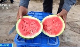 吃瓜群众买什么水果好,夏日消暑好选择