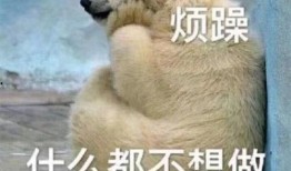 吃瓜群众红眼图片,揭秘网络热议背后的真相