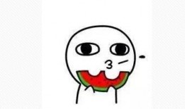 吃瓜群众小说知乎全文,揭秘网络世界的真实与虚幻