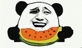 吃瓜群众的瓜是瓜子的瓜吗,揭秘“瓜”字的趣味内涵