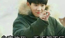 吃瓜群众cp粉丝有多少,揭秘庞大的粉丝群体