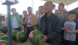 吃瓜群众路人甲儿子,吃瓜群众的成长故事