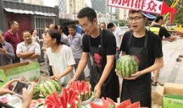 吃瓜朝阳群众在线,揭秘网络舆论场的风云变幻