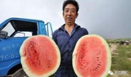 什么吃瓜群众最厉害,他们是如何成为舆论风向标的？