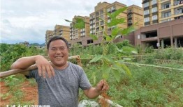 吃瓜群众山里生活,吃瓜群众的悠闲时光