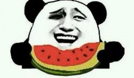 吃瓜群众见死不救辩论,道德困境与人性拷问