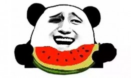 穿越看戏的吃瓜群众小说,吃瓜群众的戏里戏外